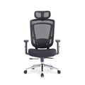 Mack Office & Home-Sunny Ergonomic Mesh Office Chair