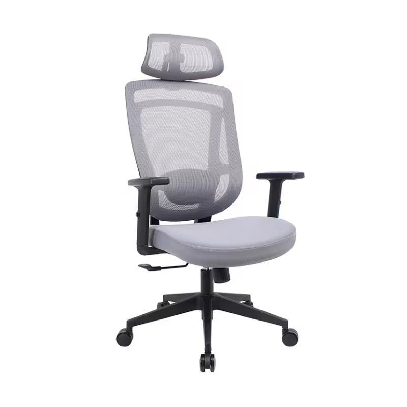 Mack Office & Home-Sunny Ergonomic Mesh Office Chair
